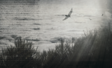 Load image into Gallery viewer, ATMOSPHERE WALLPAPER