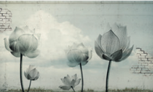 Load image into Gallery viewer, GULLIVER WALLPAPER