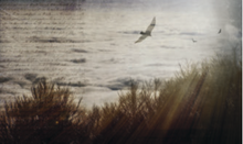 Load image into Gallery viewer, ATMOSPHERE WALLPAPER