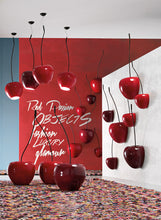 Load image into Gallery viewer, Adriani Rossi Hanging Ceramic Passion Hanging Lamp