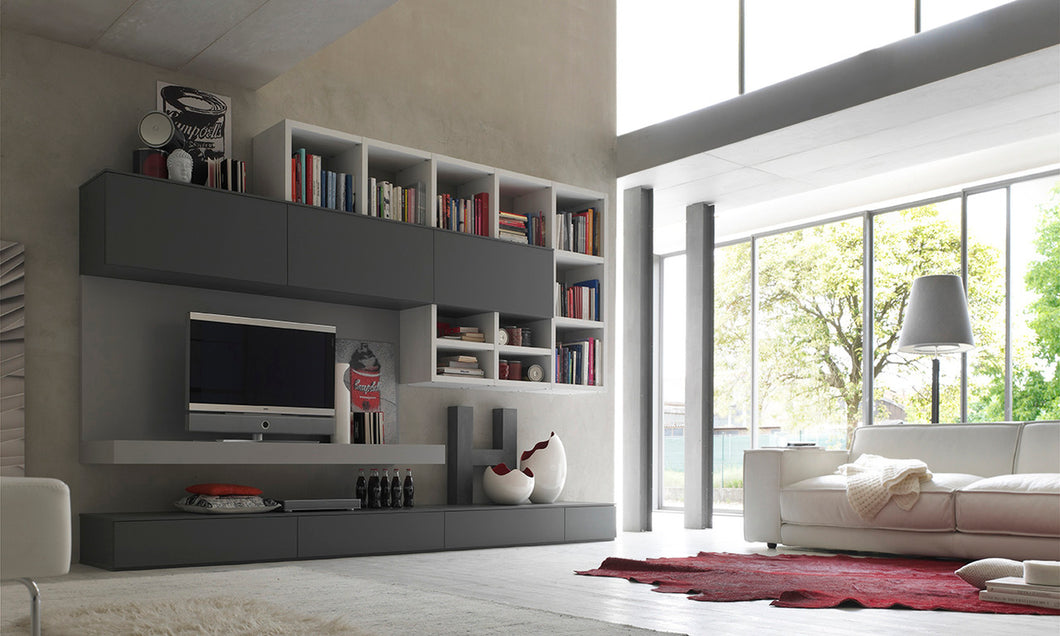 Santa Lucia Bookcase Structure Tv Unit